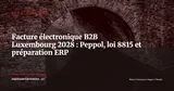 Facture électronique B2B au Luxembourg : calendrier Peppol 2028-2029 et préparation ERP — Stratégie ERP