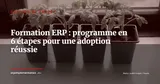 Formation utilisateurs ERP : le programme en 6 étapes pour une adoption réussie — Gestion de projet