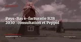 Pays-Bas e-facturatie B2B 2030 : consultation ouverte, réseau Peppol ou EBW décidé en octobre — Actualité