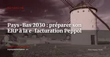 Pays-Bas 2030 : préparer son ERP à la e-facturation B2B -- les 3 leçons du déploiement belge — Actualité