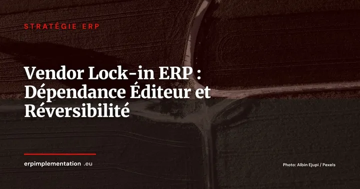 Vendor lock-in ERP : évaluer votre dépendance et planifier une sortie maîtrisée — Stratégie ERP
